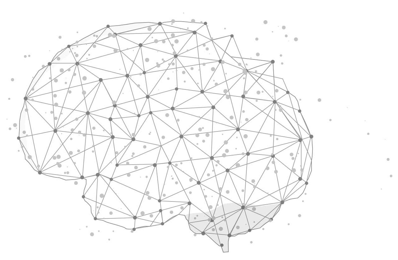 brain